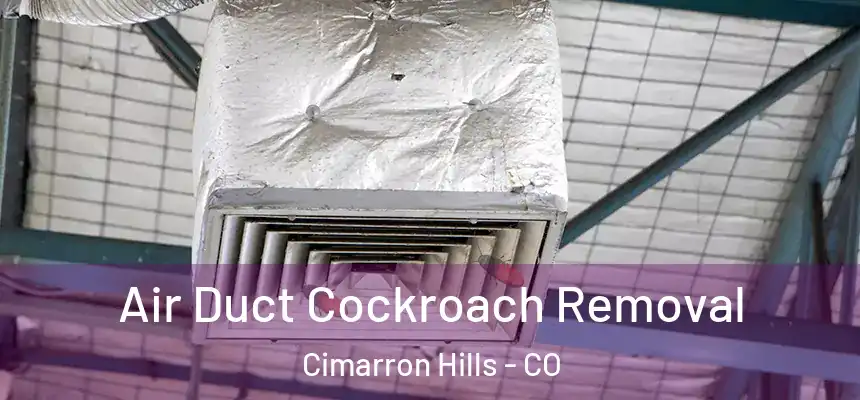  Air Duct Cockroach Removal Cimarron Hills - CO