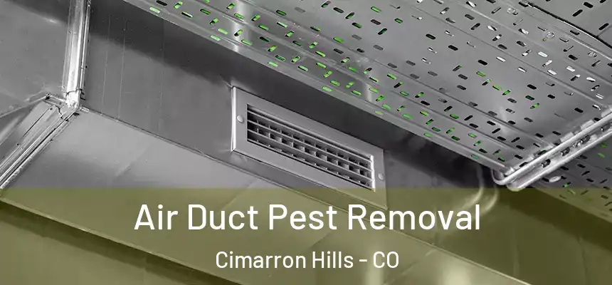  Air Duct Pest Removal Cimarron Hills - CO