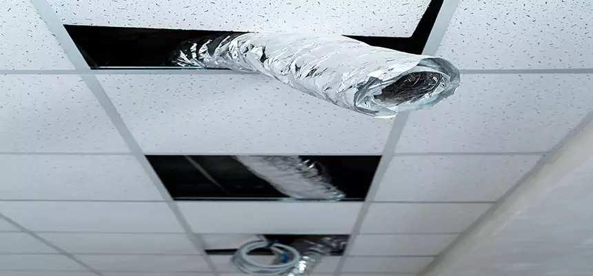 Affordable HVAC Sanitizing After Pest Removal in Cimarron Hills