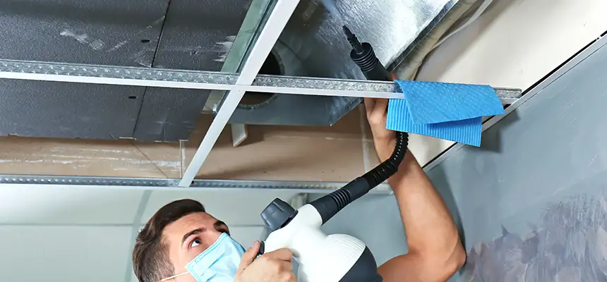 Our Air Duct Rodent Removal Services in Cimarron Hills, CO