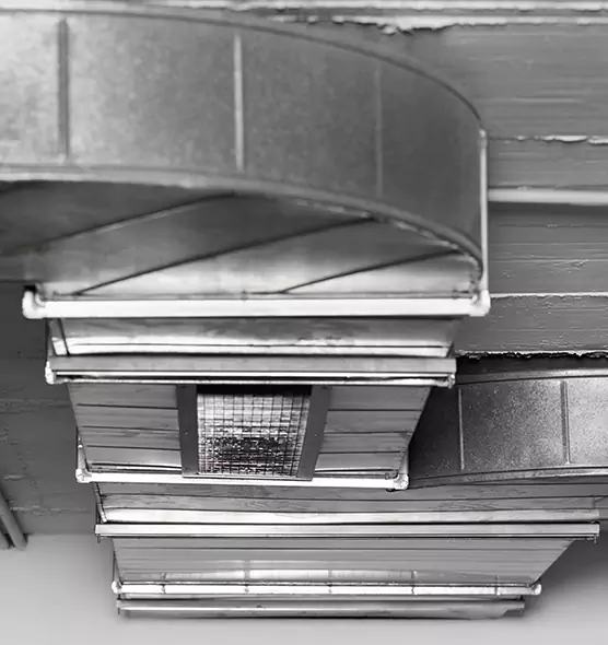 Professional Air Duct Pest Removal in Cimarron Hills, CO