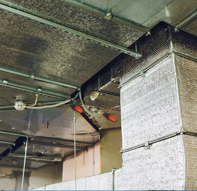 Why Homeowners & Businesses Trust Us in Cimarron Hills, CO?