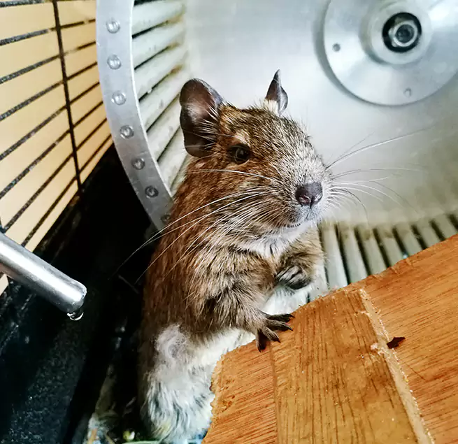 Why Homeowners & Businesses Trust Us Cimarron Hills, CO