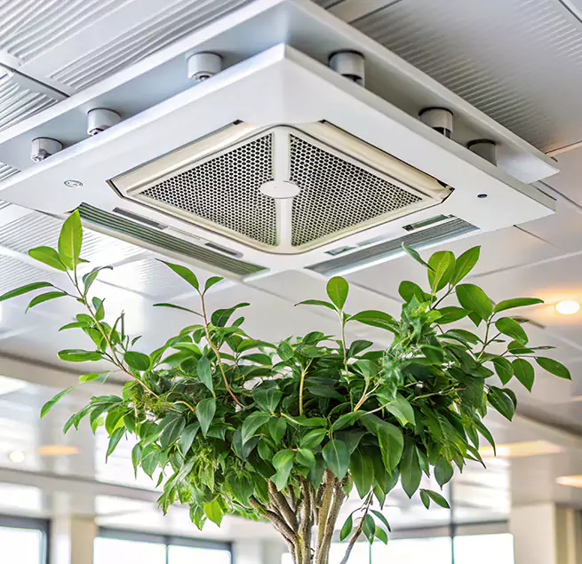 Why Homeowners & Businesses Trust Us in Cimarron Hills, CO